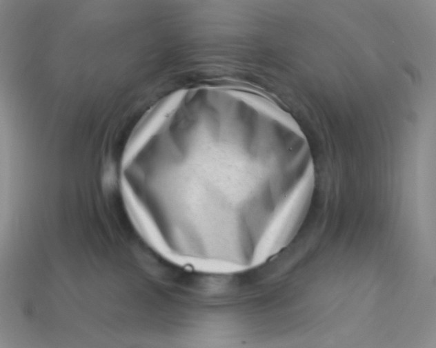 X0000113610089200910091550