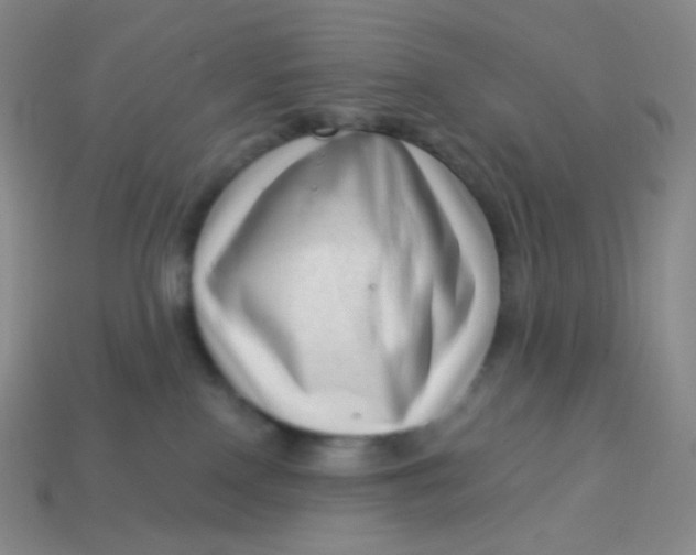 X0000113610090200910091550