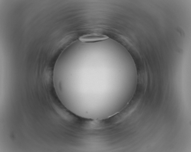 X0000113610092200910091550