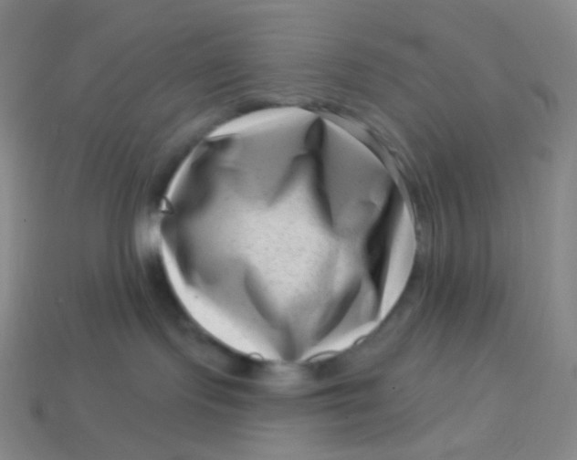 X0000113610095200910091550