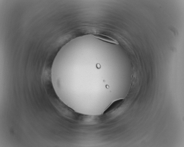 X0000113610096200910091550