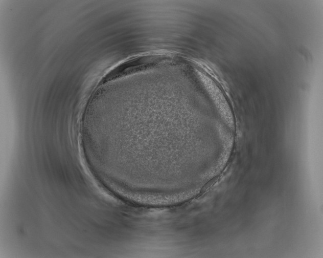 X0000113610097200910091550