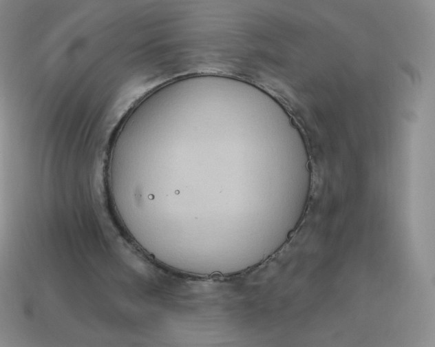 X0000113610098200910091550