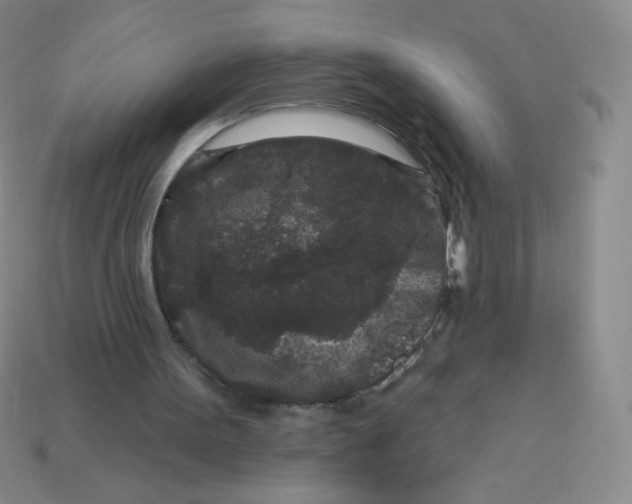 X0000113610099200910091550