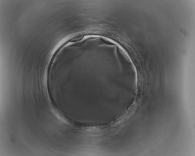 X0000113610100200910091550