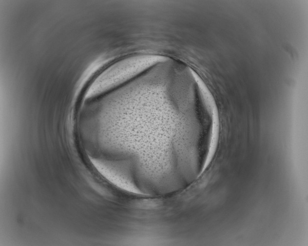 X0000113610102200910091550