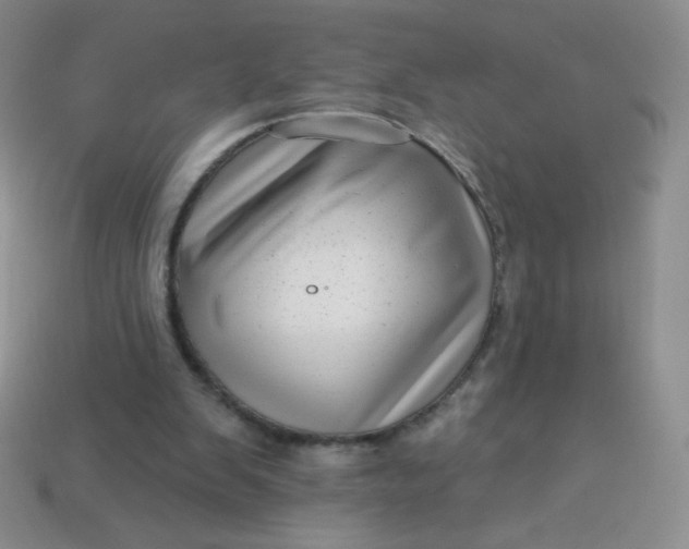 X0000113610103200910091550