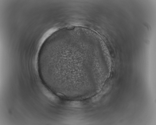 X0000113610104200910091550