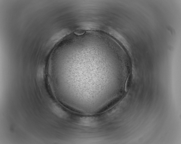 X0000113610105200910091550