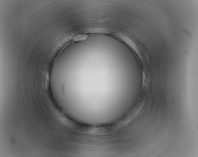 X0000113610109200910091550