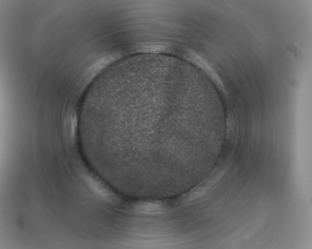 X0000113610110200910091550