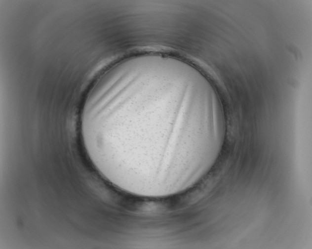 X0000113610111200910091550