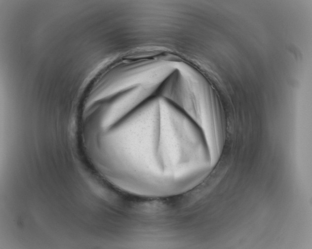 X0000113610112200910091550