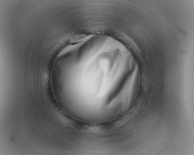 X0000113610113200910091550