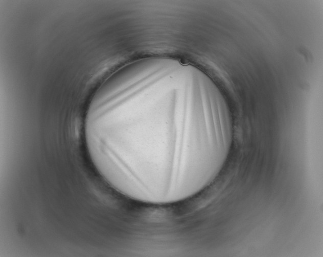 X0000113610115200910091550