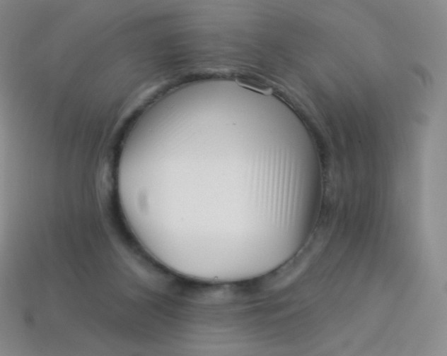 X0000113610116200910091550