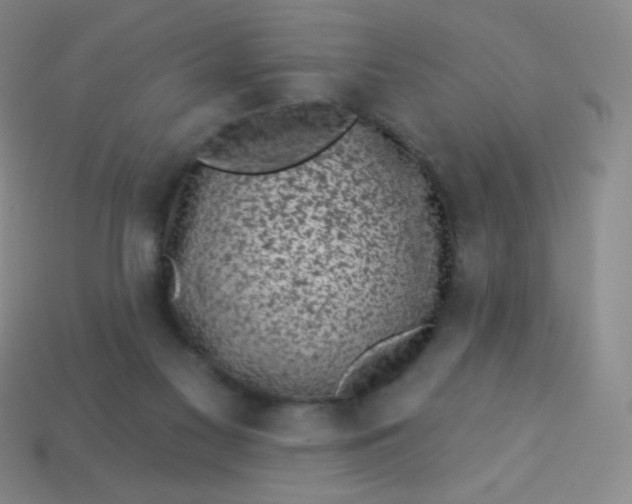 X0000113610117200910091550