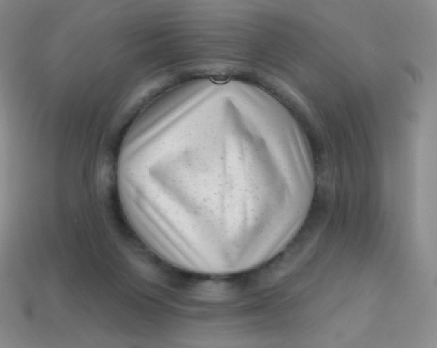 X0000113610119200910091549