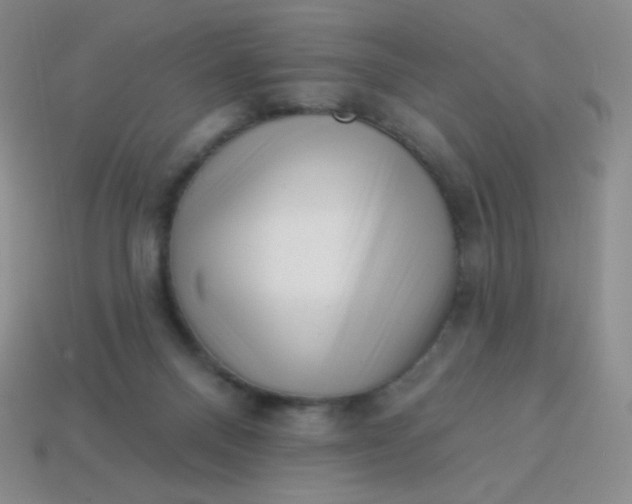 X0000113610120200910091549