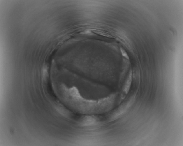 X0000113610127200910091549