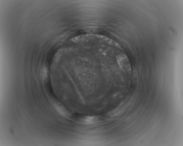 X0000113610130200910091549