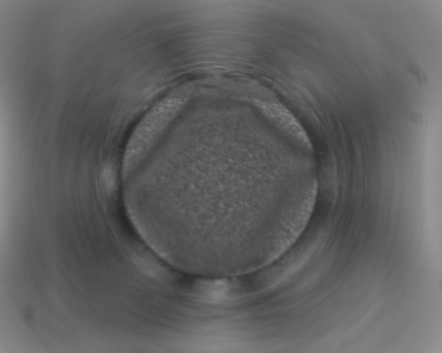 X0000113610131200910091549