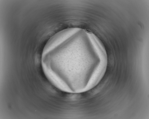 X0000113610135200910091549