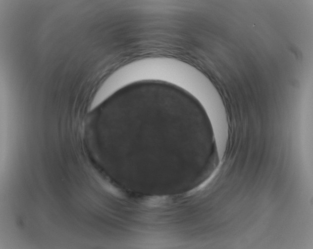 X0000113610136200910091549