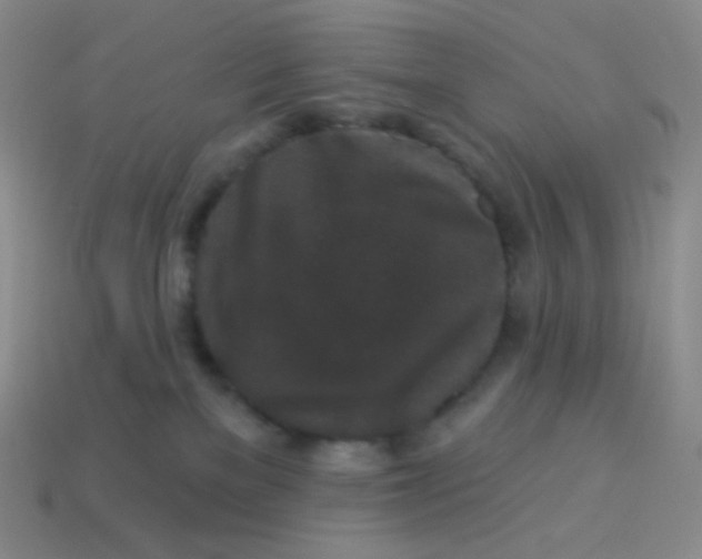 X0000113610137200910091549