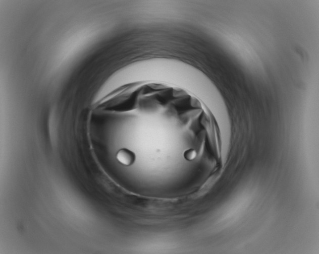 X0000113610140200910091549