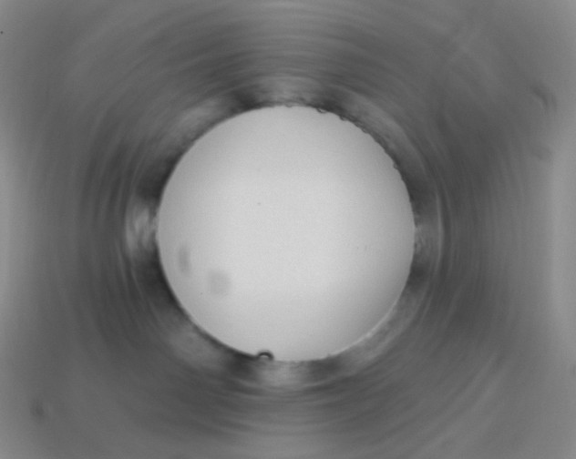 X0000113610142200910091549