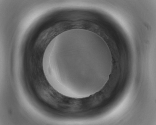 X0000113610143200910091549