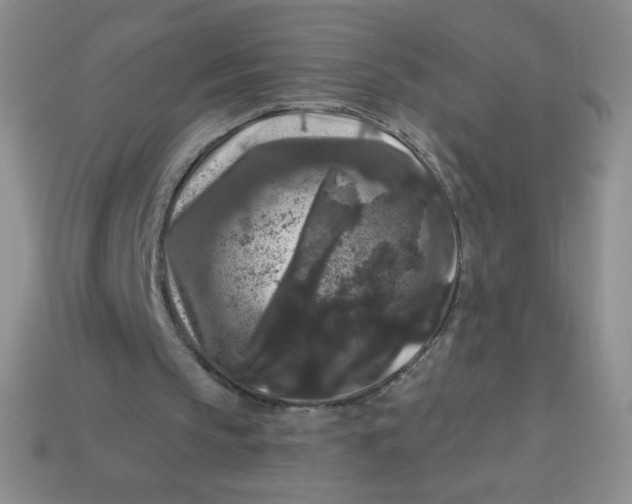 X0000113610145200910091548