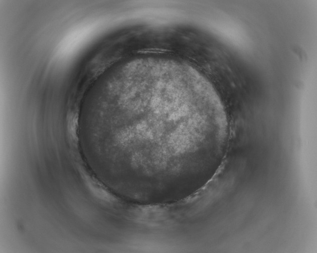 X0000113610146200910091548