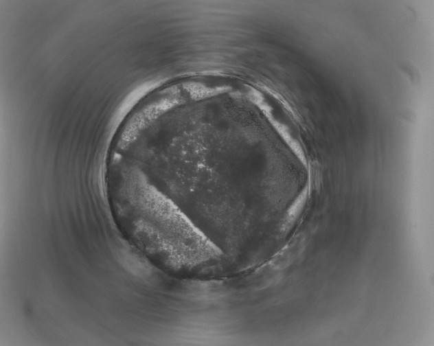 X0000113610147200910091548