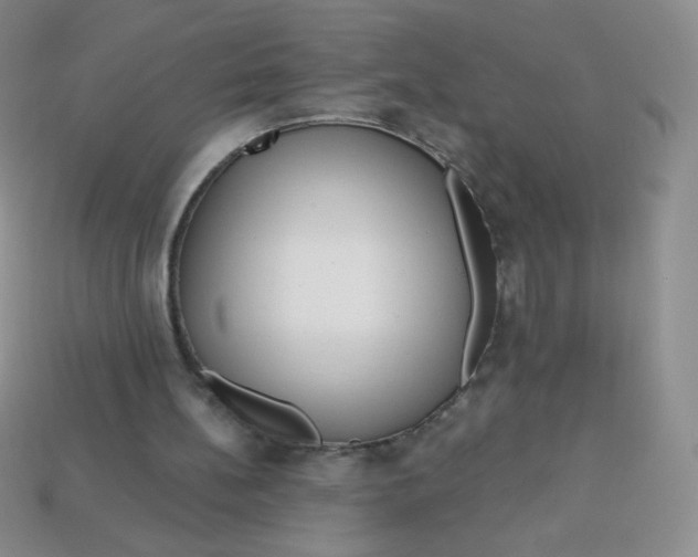 X0000113610148200910091548