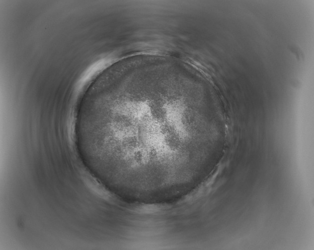 X0000113610149200910091548