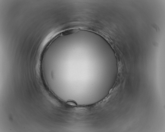 X0000113610150200910091548