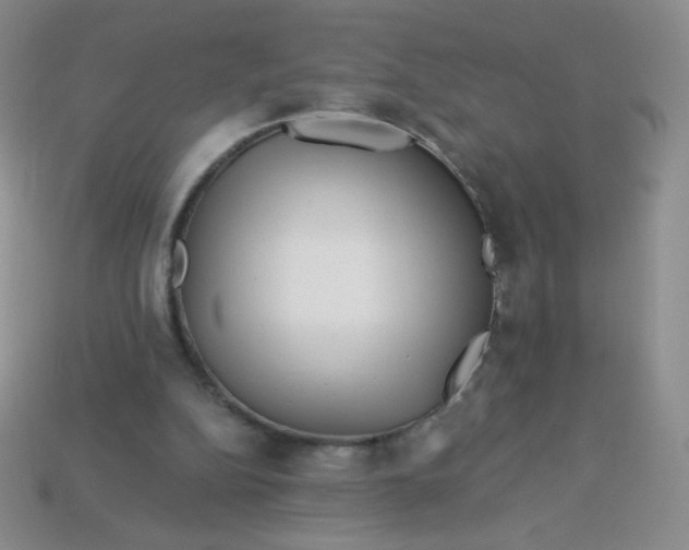 X0000113610152200910091548