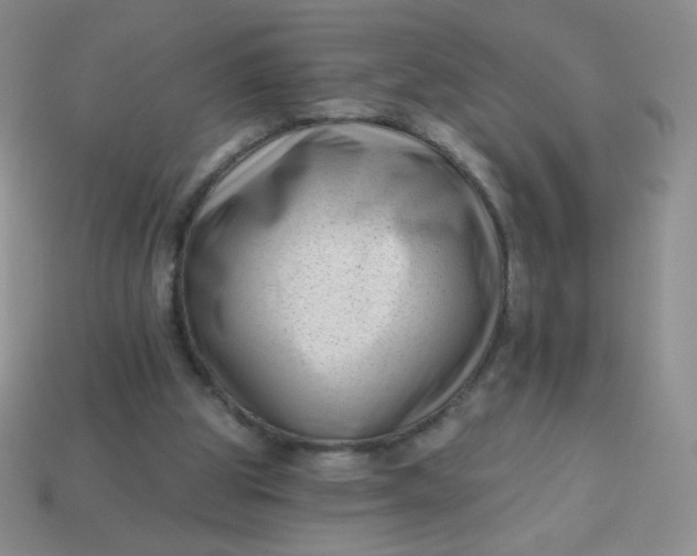 X0000113610153200910091548