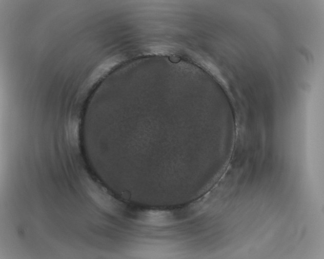 X0000113610154200910091548