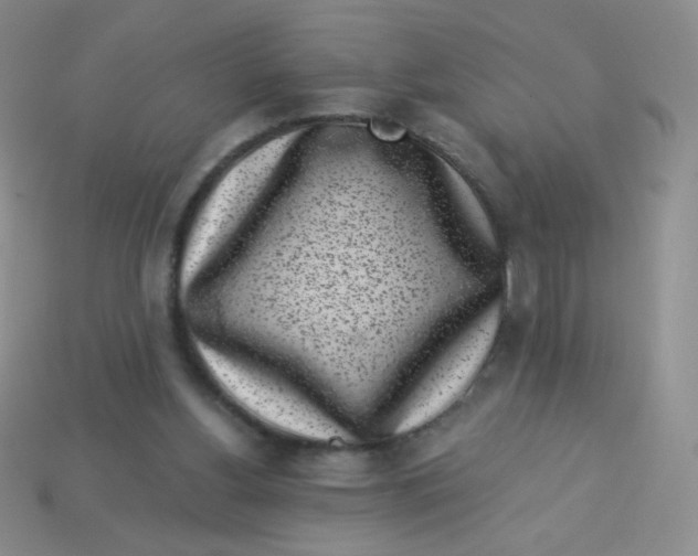 X0000113610156200910091549