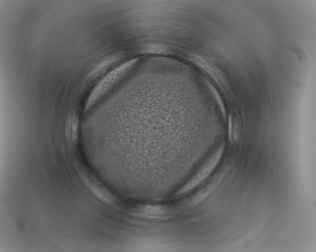 X0000113610157200910091549