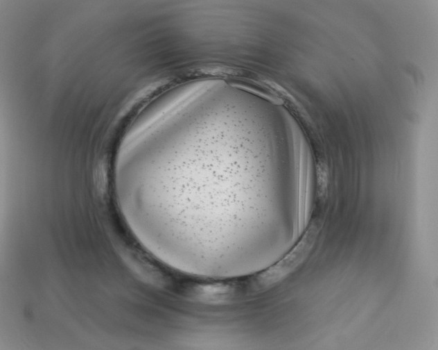 X0000113610158200910091549