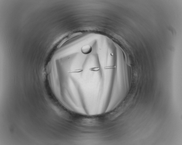 X0000113610160200910091549