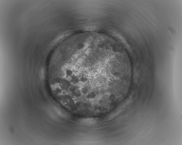 X0000113610161200910091549