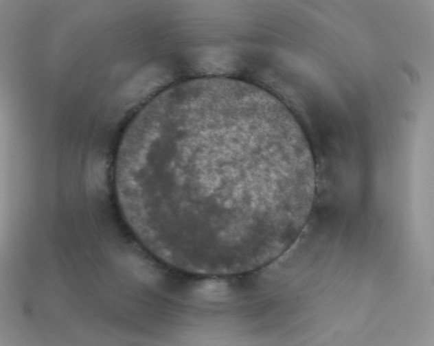 X0000113610162200910091549