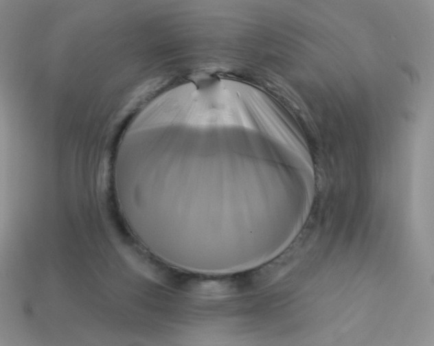 X0000113610163200910091549