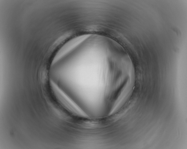 X0000113610164200910091549