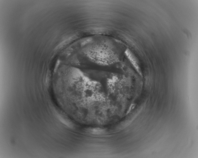 X0000113610165200910091549